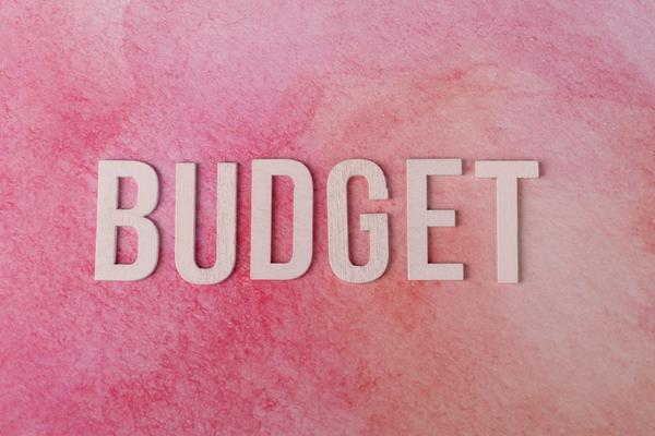 budget variance analysis